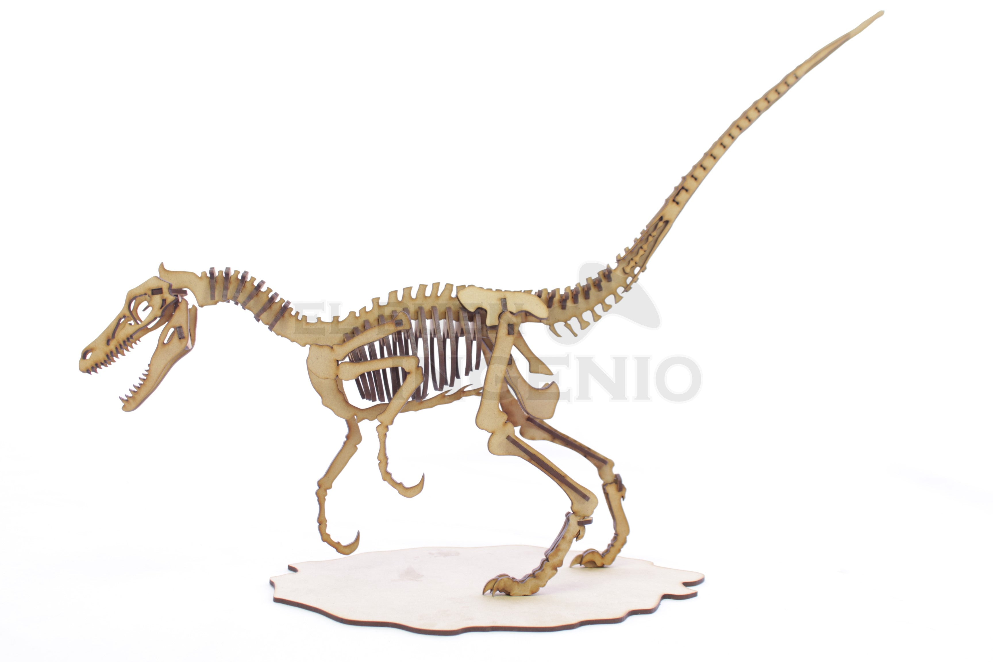 Rompecabezas De Dinosaurio Velociraptor