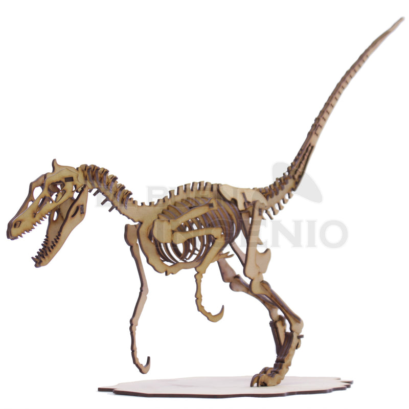 Rompecabezas De Dinosaurio Velociraptor