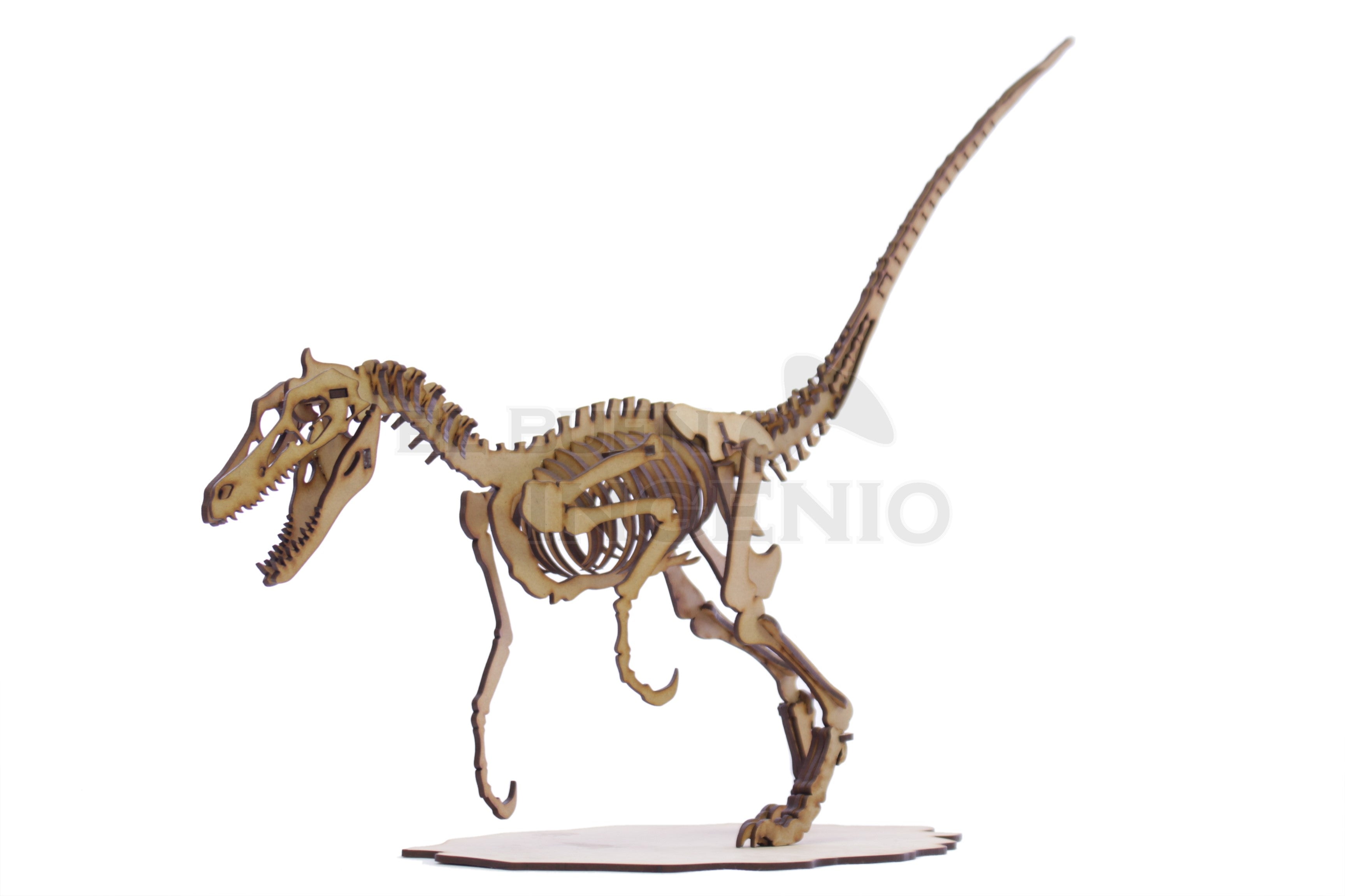 Rompecabezas De Dinosaurio Velociraptor